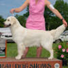 everlygoldens